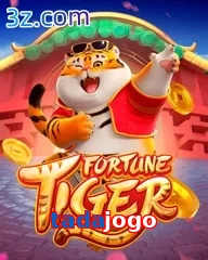 tadajogo slots online fortune tiger